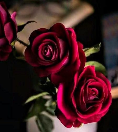 Beautiful Nature image