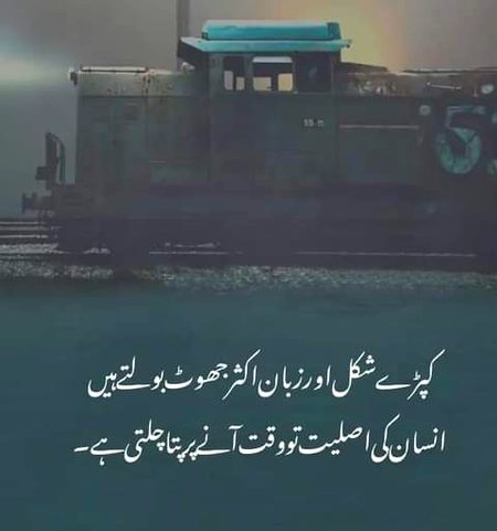 Life Advice image