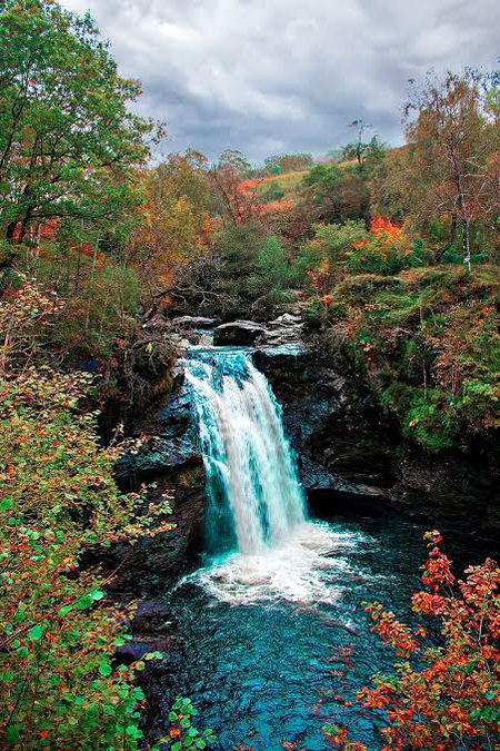Beautiful Nature image