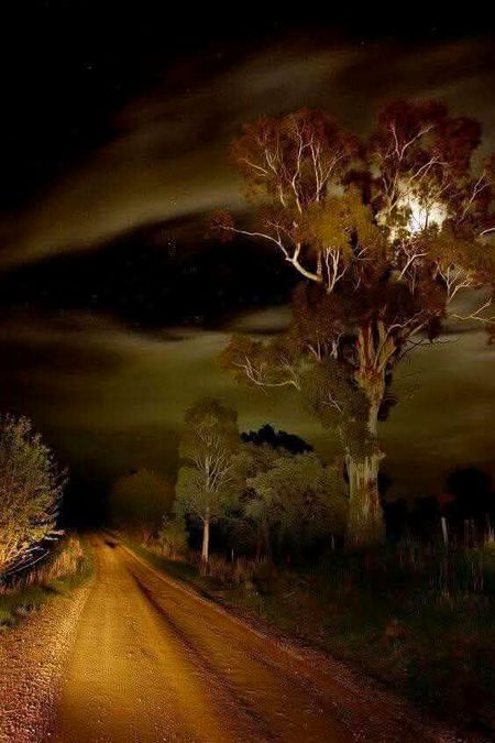 Beautiful Nature image