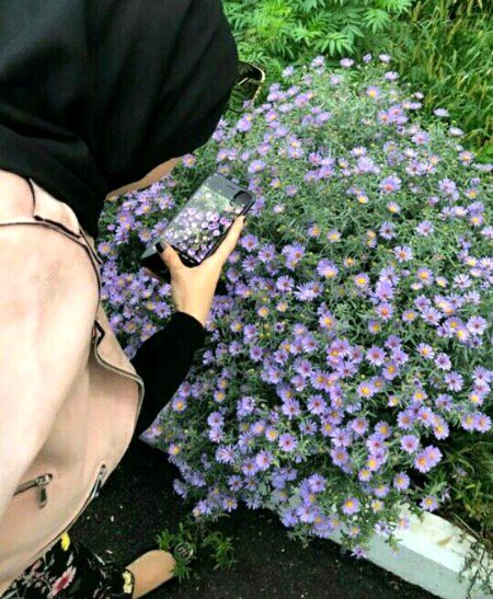 Beautiful Nature image