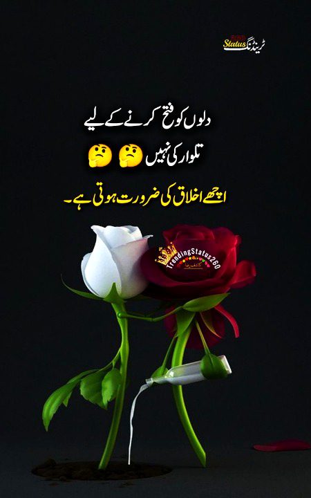 Saanaam jo ikhlak tmhry pas h ❣️❣️