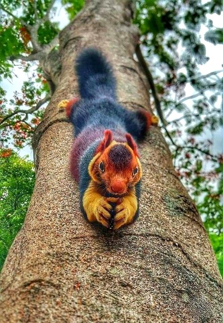 Beautiful Nature image