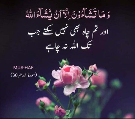 Islamic Quotes image