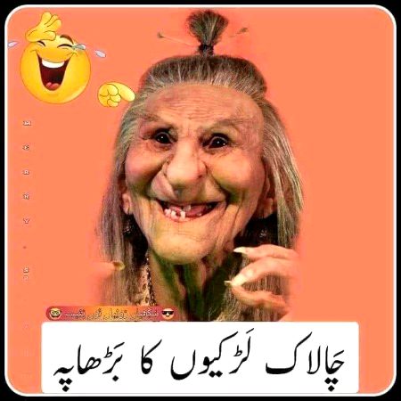 Memes & Satire image