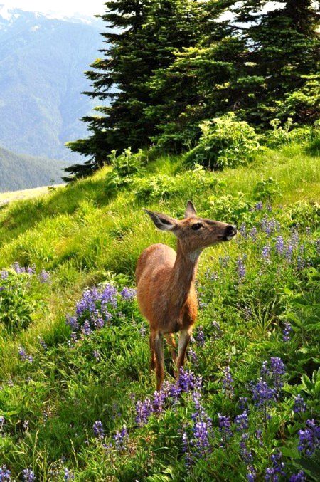 Beautiful Nature image