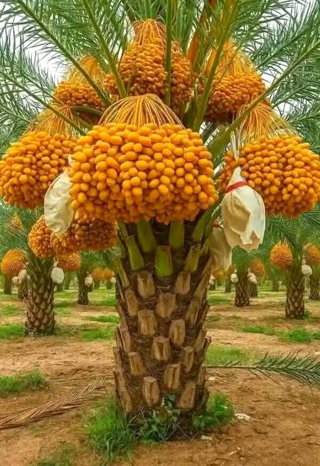 Beautiful Nature image