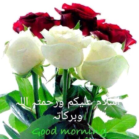 How are you dear friend ke hal chal hen ap logo ky