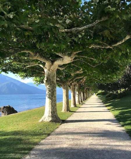 Beautiful nature