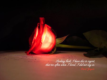 Beautiful pic