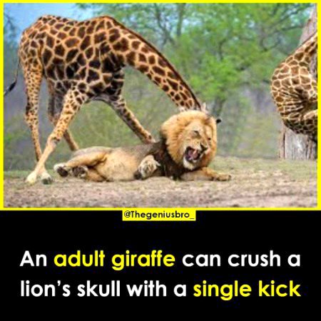 Interesting Posts image