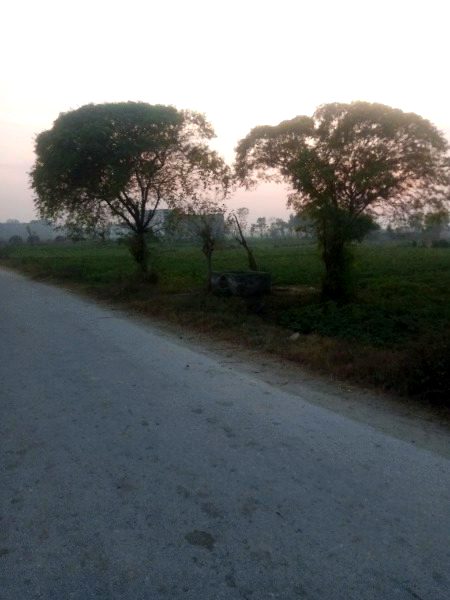 Beautiful Nature image