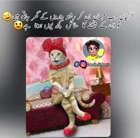 Memes & Satire image