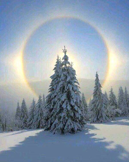 Beautiful Nature image