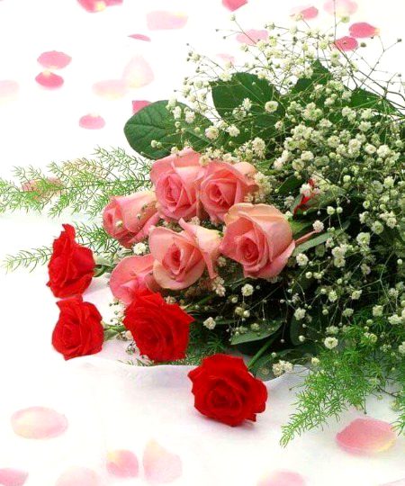 Beautiful Nature image