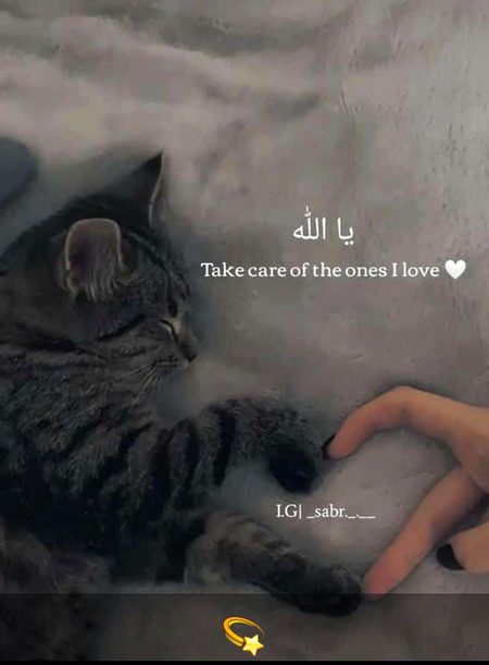 Islamic Quotes image