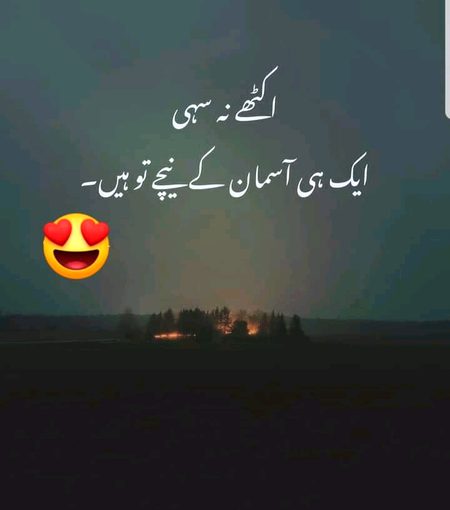 ❤💚💜❤💚💜❤💚💜