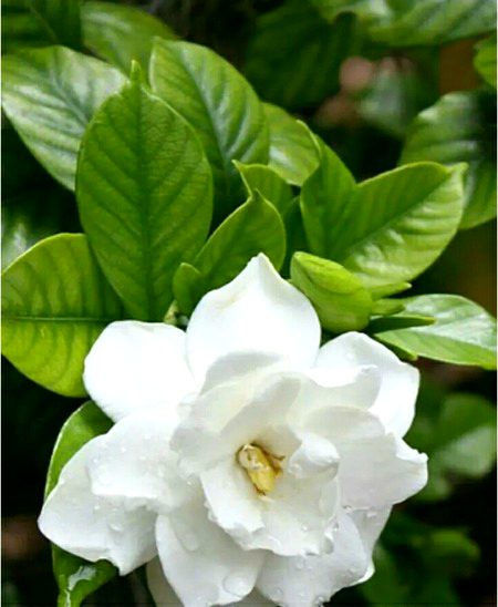 Beautiful Nature image