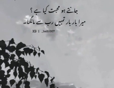 Romantic Poetry image