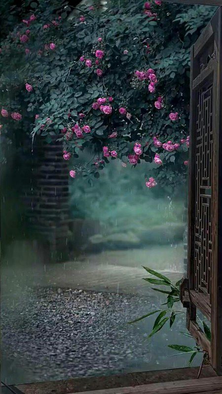 Beautiful Nature image