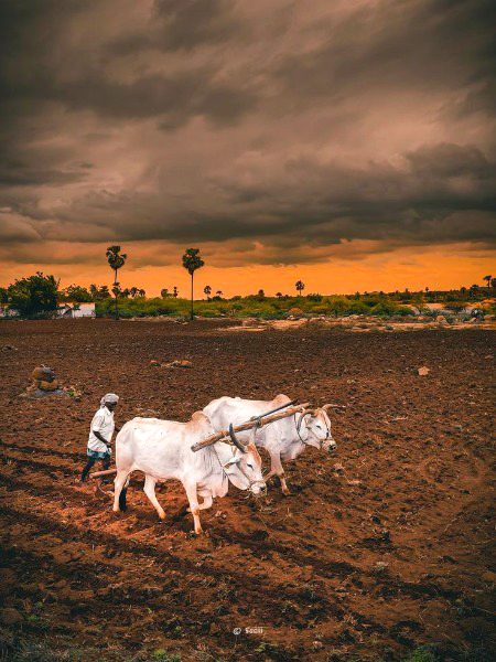 Beautiful Nature image