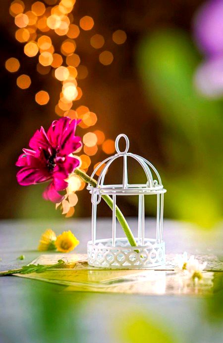 Beautiful Nature image