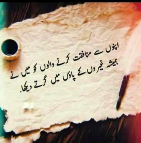 ❤💚💜❤💚💜