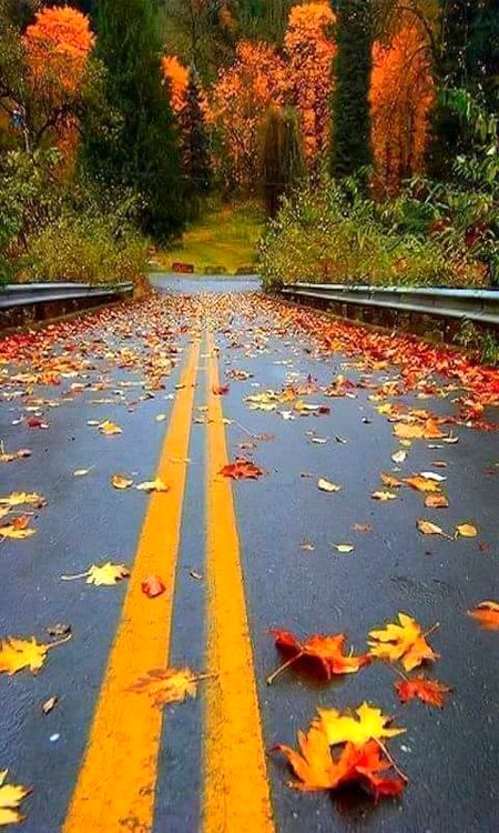 Beautiful Nature image