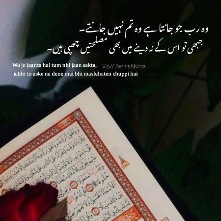 Islamic Quotes image