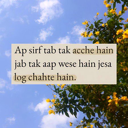Azil sharing