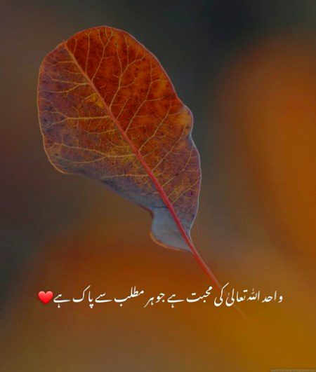 Islamic Quotes image