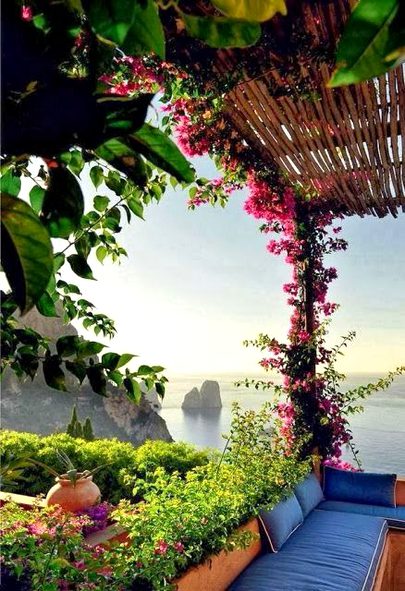 Beautiful Nature image