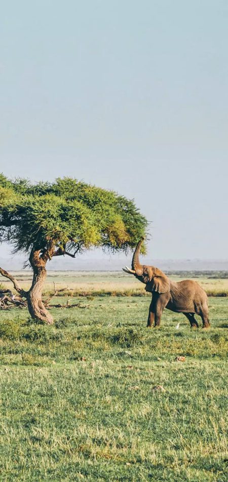 Beautiful Nature image