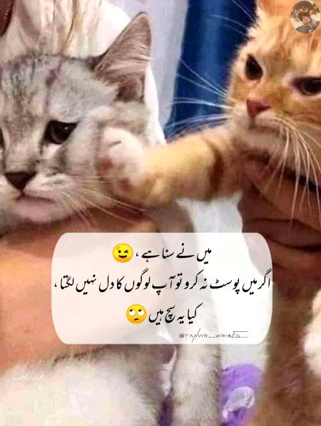 Jokes image