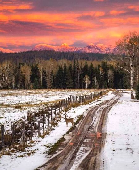 Beautiful Nature image