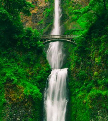 Beautiful Nature image