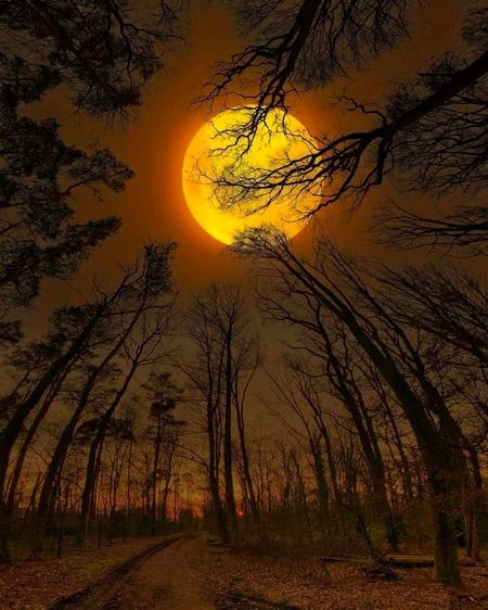 '𝑰’𝒍𝒍 𝒂𝒍𝒘𝒂𝒚𝒔 𝒃𝒆 𝒕𝒉𝒆𝒓𝒆 𝒇𝒐𝒓 𝒚𝒐𝒖. ' 🌌🌙 📌 𝘉𝘦𝘭𝘨𝘳𝘢𝘥 𝘍𝘰𝘳𝘦𝘴𝘵, 𝘐𝘴𝘵𝘢𝘯𝘣𝘶𝘭 𝘛𝘶𝘳𝘬𝘦𝘺