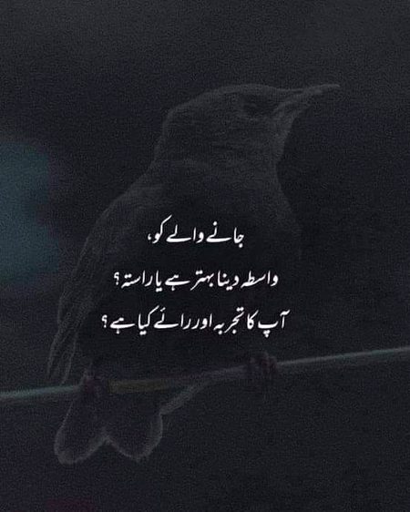 ZaRRaaR💔🥀