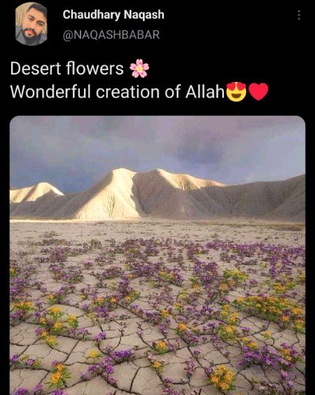 Beautiful Nature image