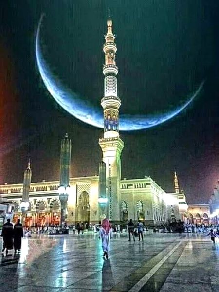 Beautiful Structures image