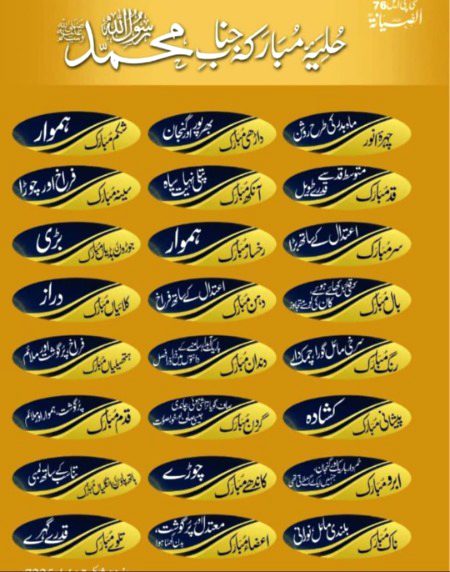 اپنے نبی صلی اللّٰہ علیہ وسلم کے بارے میں جانیے۔۔۔💕