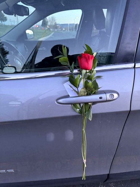 Beautiful Nature image