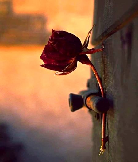 دو ہی گواہ تھے میری محبت کے وقت ایک گزر گیا اور دوسرا مکر گیا۔
