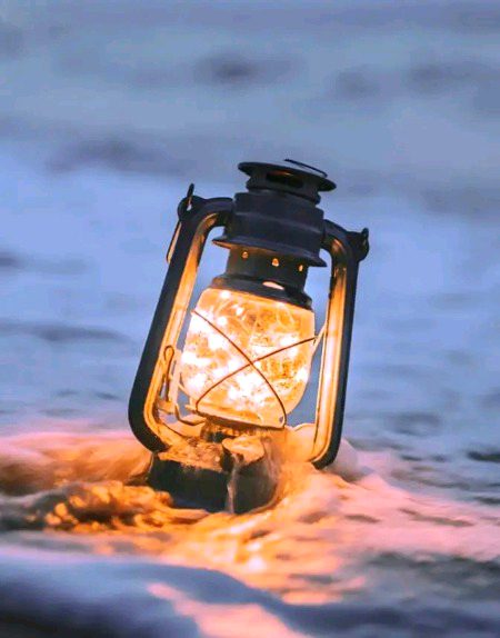 Beautiful Nature image