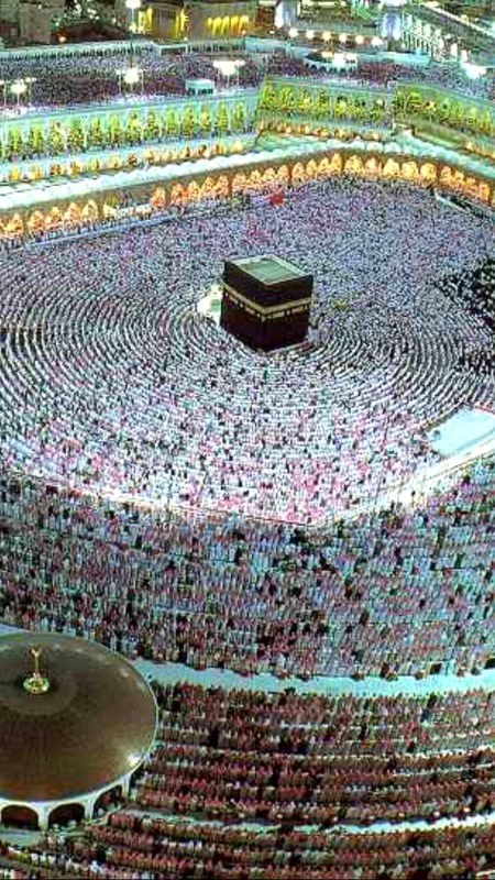 Beautiful Structures image