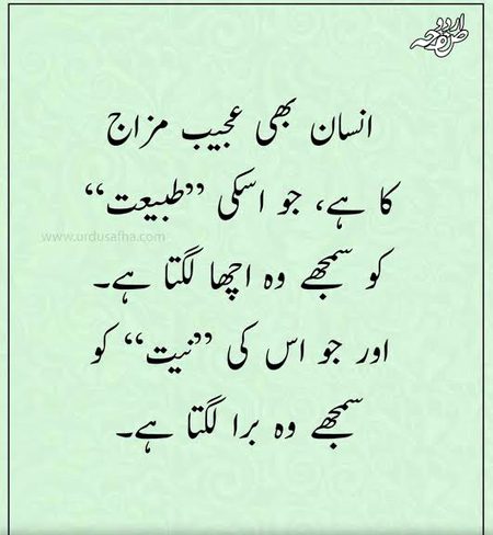 🍁Zoq_Shab🍁