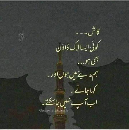 Life Advice image