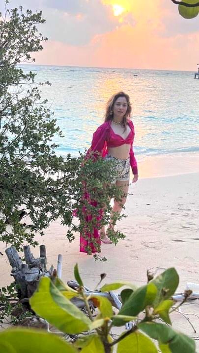 Indian Celebs image