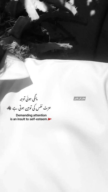 جہاں قدر نہ ہو، وہاں خاموشی سے پیچھے ہٹ جانا ہی بہتر ہے۔ ✨🚩 👤