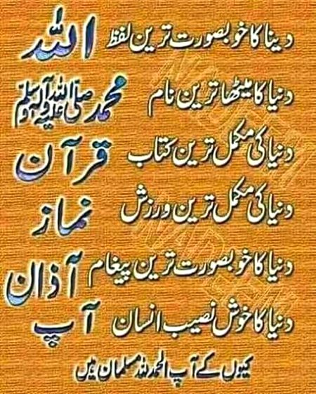 MashaAllah super supper,,